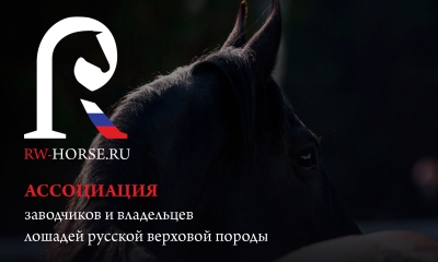 Ассоциация заводчиков и владельцев лошадей русской верховой породы